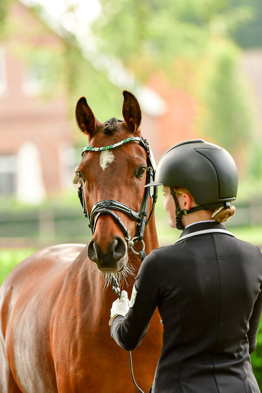 Goldene Schärpe Ponys in Löningen  4+5.6.22 | 05062022 Vormustern_266 