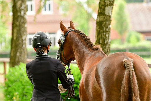 Goldene Schärpe Ponys in Löningen  4+5.6.22 | 05062022 Vormustern_267 