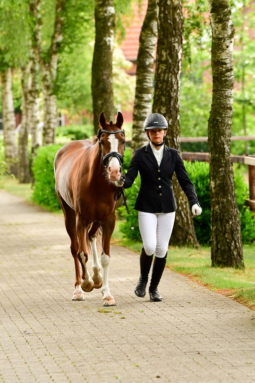 Goldene Schärpe Ponys in Löningen  4+5.6.22 | 05062022 Vormustern_270 