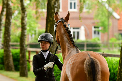 Goldene Schärpe Ponys in Löningen  4+5.6.22 | 05062022 Vormustern_275 