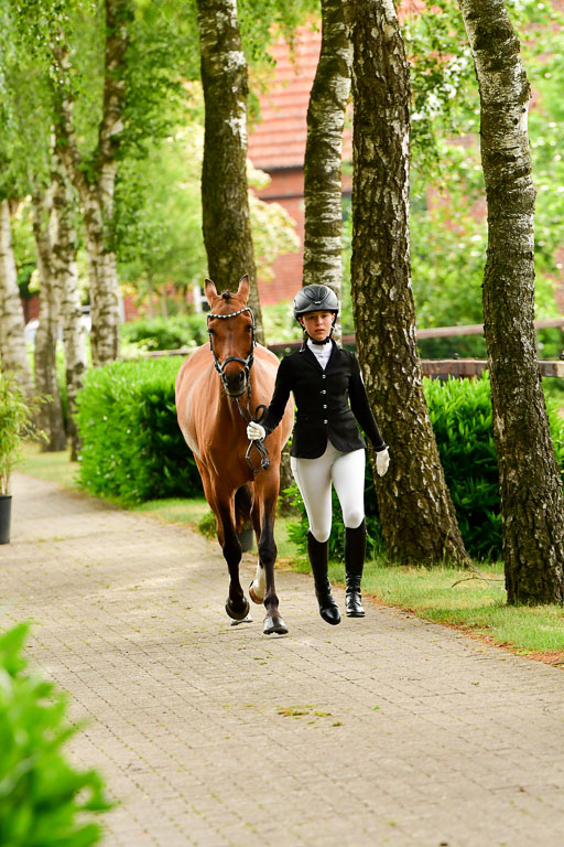 Goldene Schärpe Ponys in Löningen  4+5.6.22 | 05062022 Vormustern_277 