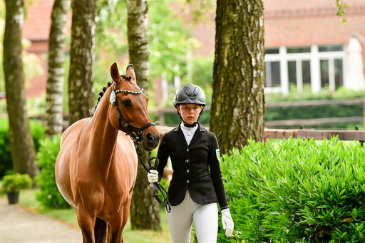 Goldene Schärpe Ponys in Löningen  4+5.6.22 | 05062022 Vormustern_278 