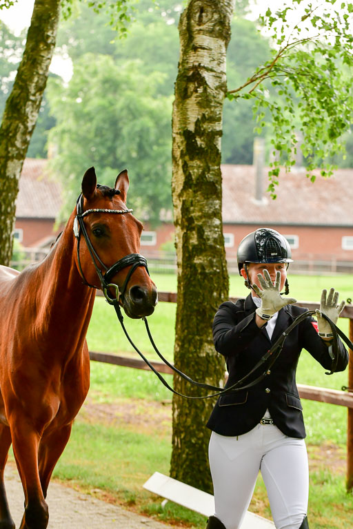 Goldene Schärpe Ponys in Löningen  4+5.6.22 | 05062022 Vormustern_290 