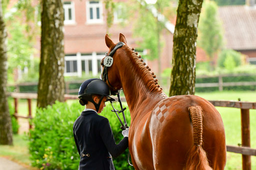 Goldene Schärpe Ponys in Löningen  4+5.6.22 | 05062022 Vormustern_293 
