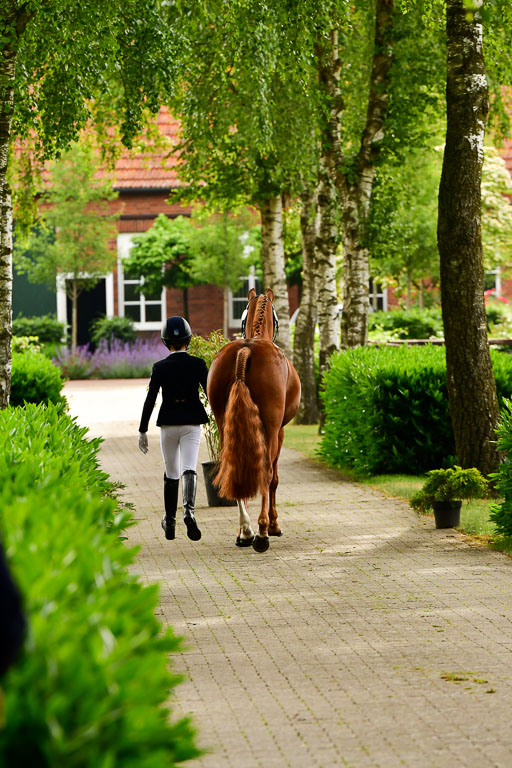 Goldene Schärpe Ponys in Löningen  4+5.6.22 | 05062022 Vormustern_296 