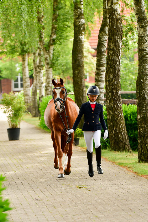 Goldene Schärpe Ponys in Löningen  4+5.6.22 | 05062022 Vormustern_297 