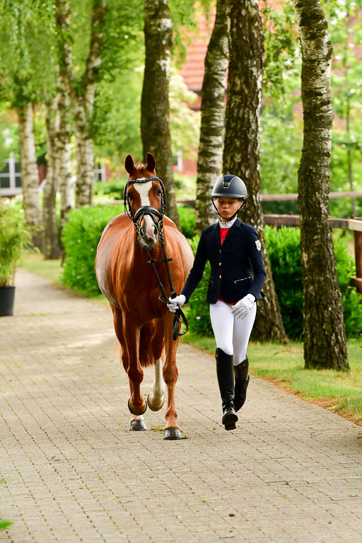 Goldene Schärpe Ponys in Löningen  4+5.6.22 | 05062022 Vormustern_298 