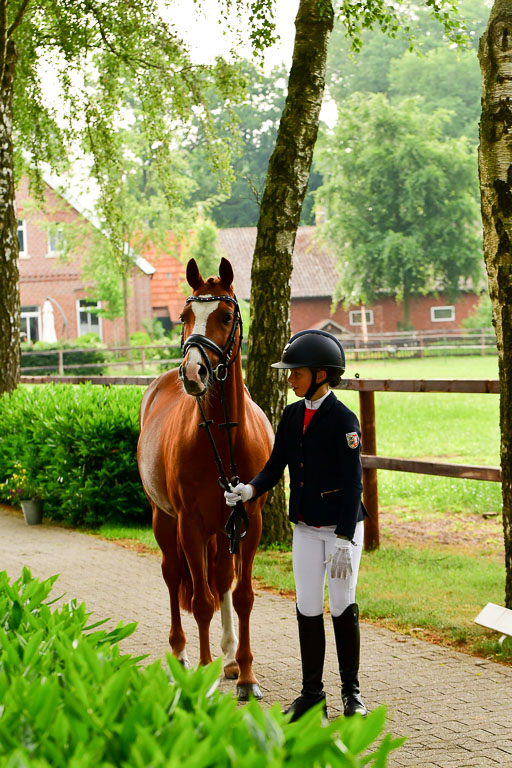 Goldene Schärpe Ponys in Löningen  4+5.6.22 | 05062022 Vormustern_300 