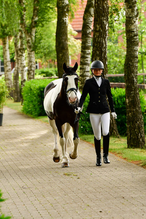 Goldene Schärpe Ponys in Löningen  4+5.6.22 | 05062022 Vormustern_303 