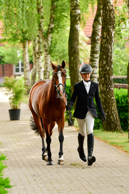 Goldene Schärpe Ponys in Löningen  4+5.6.22 | 05062022 Vormustern_309 
