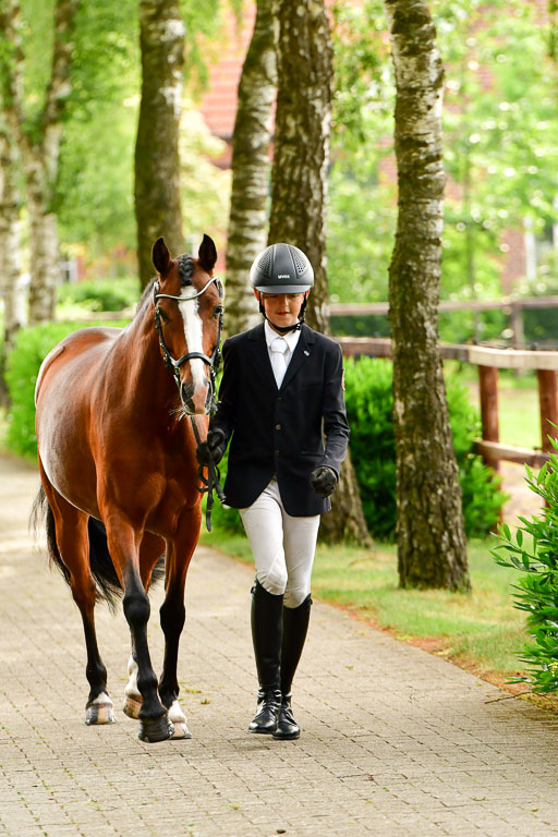 Goldene Schärpe Ponys in Löningen  4+5.6.22 | 05062022 Vormustern_311 