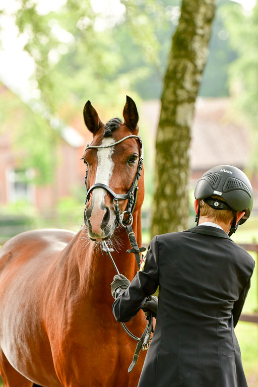 Goldene Schärpe Ponys in Löningen  4+5.6.22 | 05062022 Vormustern_312 