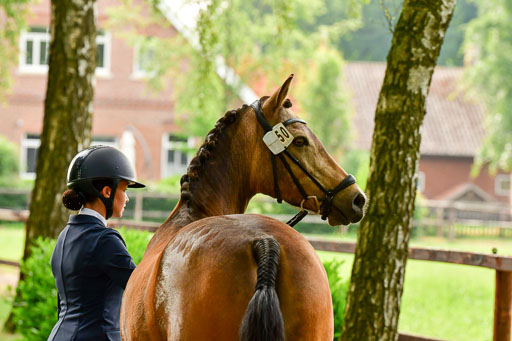 Goldene Schärpe Ponys in Löningen  4+5.6.22 | 05062022 Vormustern_313 