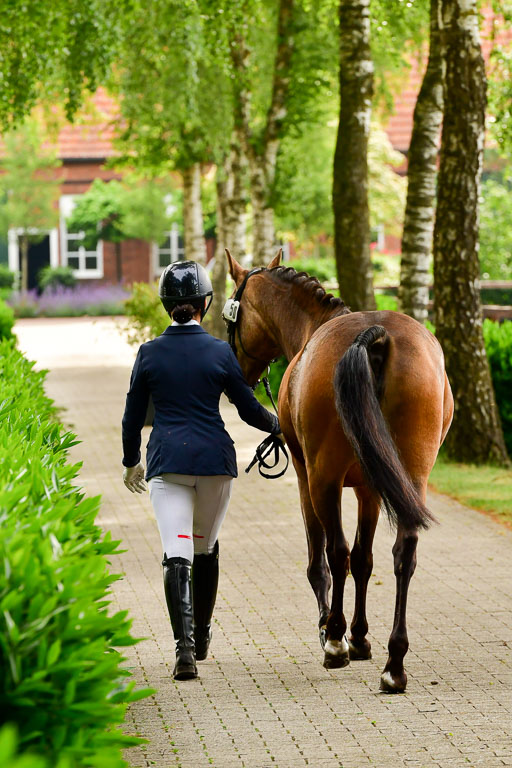 Goldene Schärpe Ponys in Löningen  4+5.6.22 | 05062022 Vormustern_314 