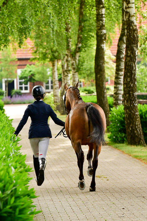 Goldene Schärpe Ponys in Löningen  4+5.6.22 | 05062022 Vormustern_315 