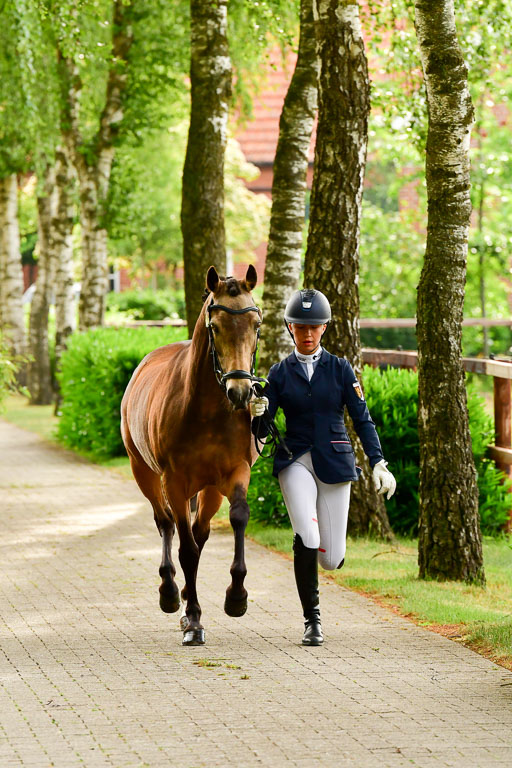 Goldene Schärpe Ponys in Löningen  4+5.6.22 | 05062022 Vormustern_317 