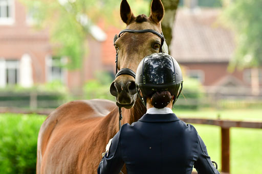 Goldene Schärpe Ponys in Löningen  4+5.6.22 | 05062022 Vormustern_318 