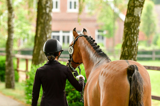 Goldene Schärpe Ponys in Löningen  4+5.6.22 | 05062022 Vormustern_319 
