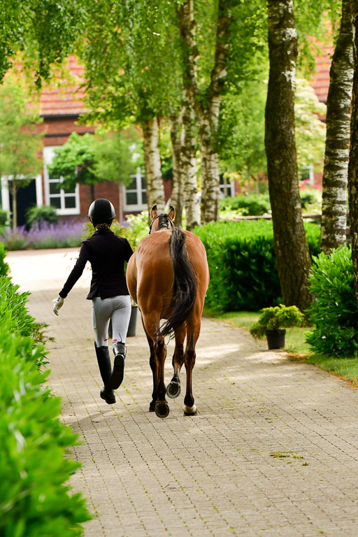 Goldene Schärpe Ponys in Löningen  4+5.6.22 | 05062022 Vormustern_320 