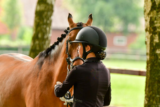 Goldene Schärpe Ponys in Löningen  4+5.6.22 | 05062022 Vormustern_323 