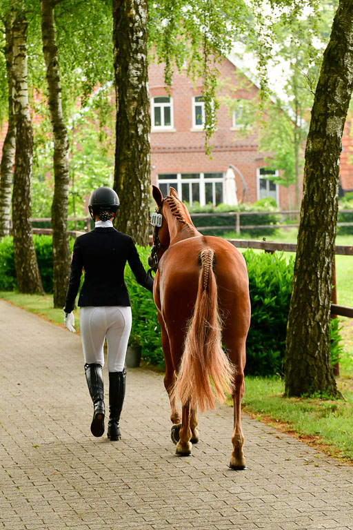 Goldene Schärpe Ponys in Löningen  4+5.6.22 | 05062022 Vormustern_326 