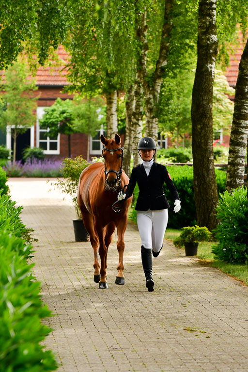 Goldene Schärpe Ponys in Löningen  4+5.6.22 | 05062022 Vormustern_327 