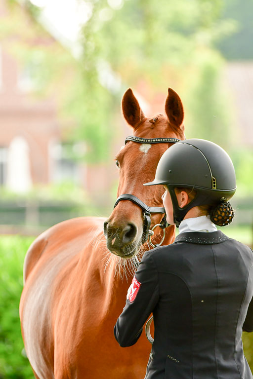 Goldene Schärpe Ponys in Löningen  4+5.6.22 | 05062022 Vormustern_329 