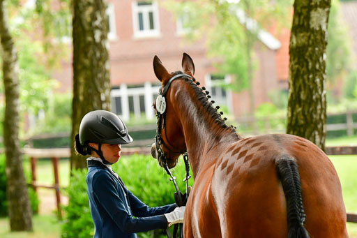 Goldene Schärpe Ponys in Löningen  4+5.6.22 | 05062022 Vormustern_330 