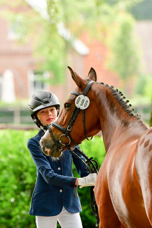 Goldene Schärpe Ponys in Löningen  4+5.6.22 | 05062022 Vormustern_331 