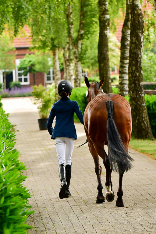 Goldene Schärpe Ponys in Löningen  4+5.6.22 | 05062022 Vormustern_332 