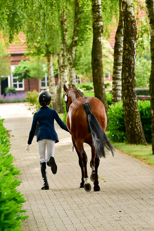 Goldene Schärpe Ponys in Löningen  4+5.6.22 | 05062022 Vormustern_333 