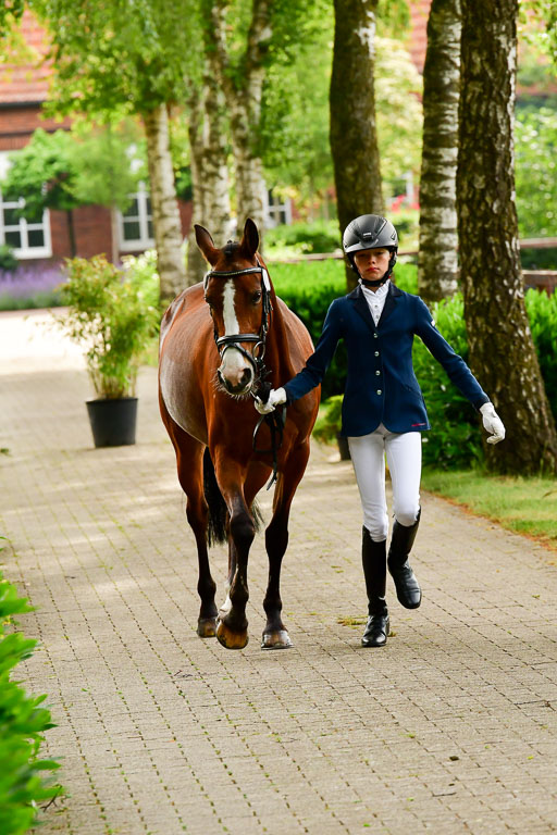 Goldene Schärpe Ponys in Löningen  4+5.6.22 | 05062022 Vormustern_334 
