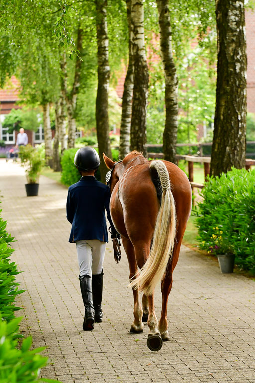 Goldene Schärpe Ponys in Löningen  4+5.6.22 | 05062022 Vormustern_338 