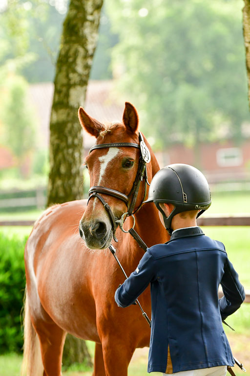 Goldene Schärpe Ponys in Löningen  4+5.6.22 | 05062022 Vormustern_342 