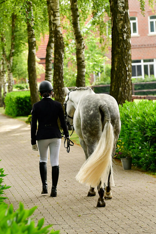 Goldene Schärpe Ponys in Löningen  4+5.6.22 | 05062022 Vormustern_345 