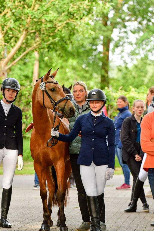 Goldene Schärpe Ponys in Löningen  4+5.6.22 | 05062022 Vormustern_347 