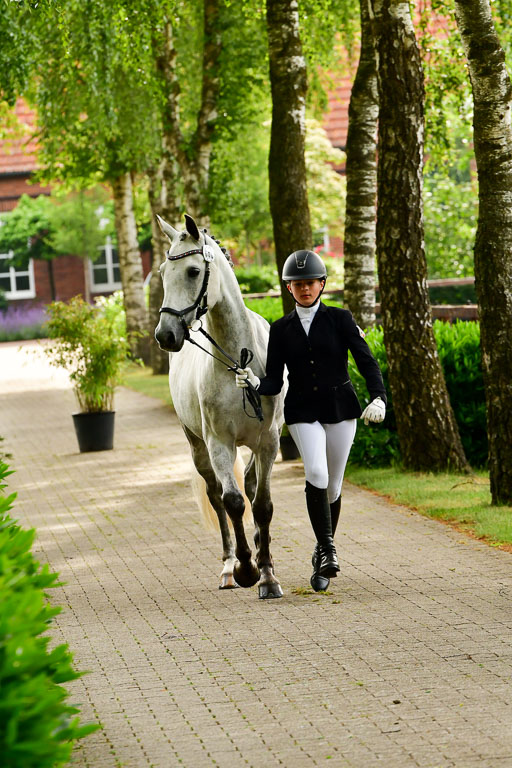 Goldene Schärpe Ponys in Löningen  4+5.6.22 | 05062022 Vormustern_348 