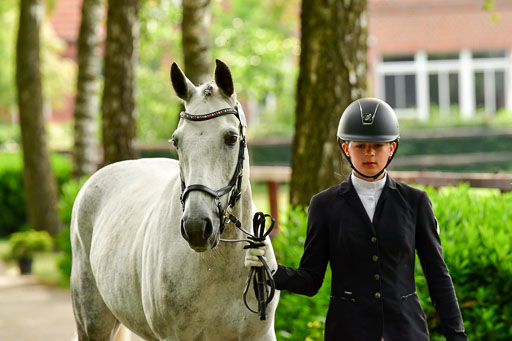 Goldene Schärpe Ponys in Löningen  4+5.6.22 | 05062022 Vormustern_349 