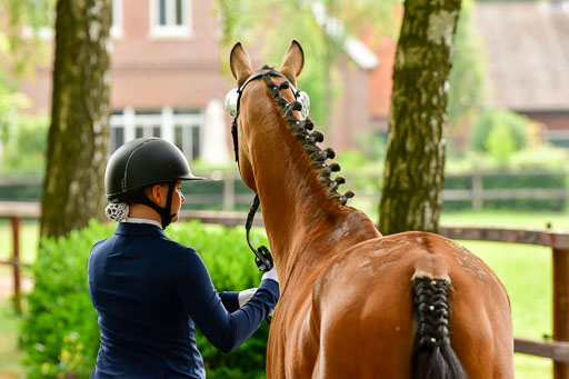 Goldene Schärpe Ponys in Löningen  4+5.6.22 | 05062022 Vormustern_351 