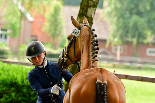 Goldene Schärpe Ponys in Löningen  4+5.6.22 | 05062022 Vormustern_352 