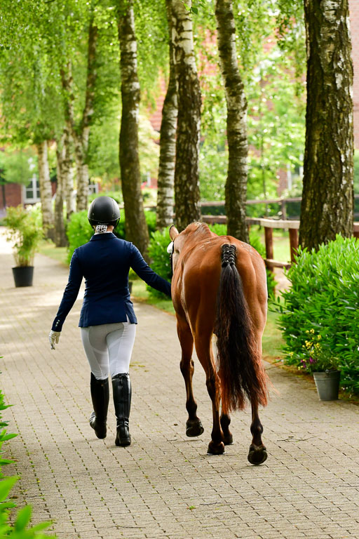 Goldene Schärpe Ponys in Löningen  4+5.6.22 | 05062022 Vormustern_355 