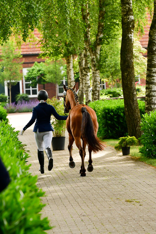 Goldene Schärpe Ponys in Löningen  4+5.6.22 | 05062022 Vormustern_356 