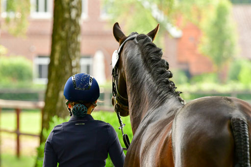 Goldene Schärpe Ponys in Löningen  4+5.6.22 | 05062022 Vormustern_362 