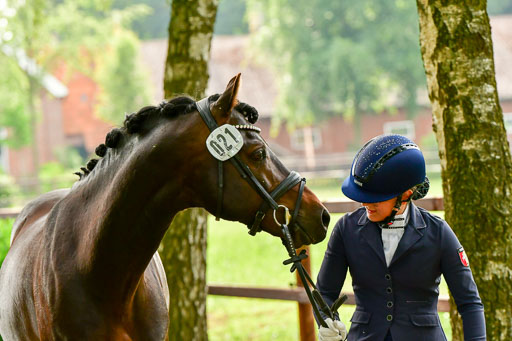 Goldene Schärpe Ponys in Löningen  4+5.6.22 | 05062022 Vormustern_367 