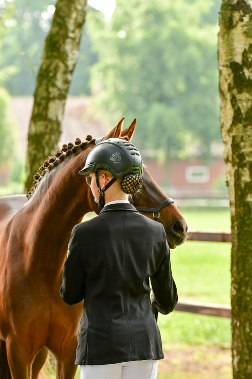 Goldene Schärpe Ponys in Löningen  4+5.6.22 | 05062022 Vormustern_373 