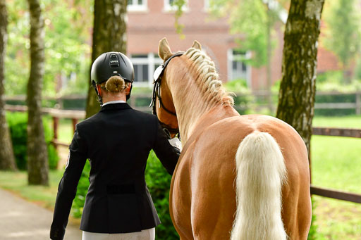 Goldene Schärpe Ponys in Löningen  4+5.6.22 | 05062022 Vormustern_376 