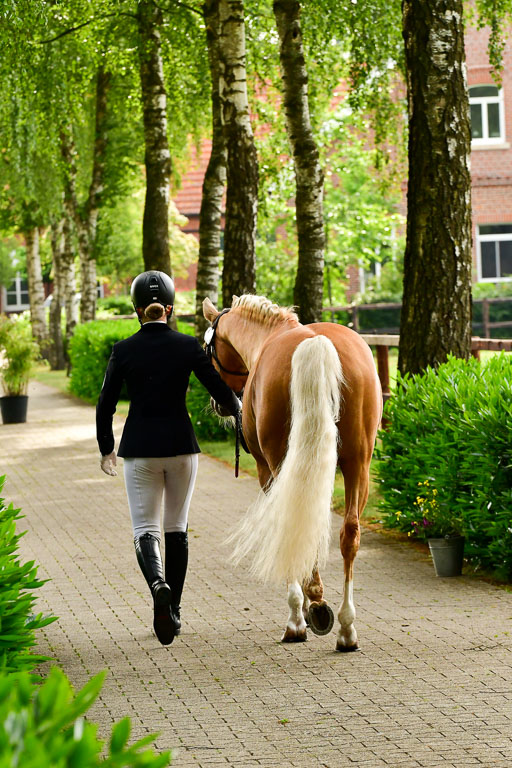 Goldene Schärpe Ponys in Löningen  4+5.6.22 | 05062022 Vormustern_377 