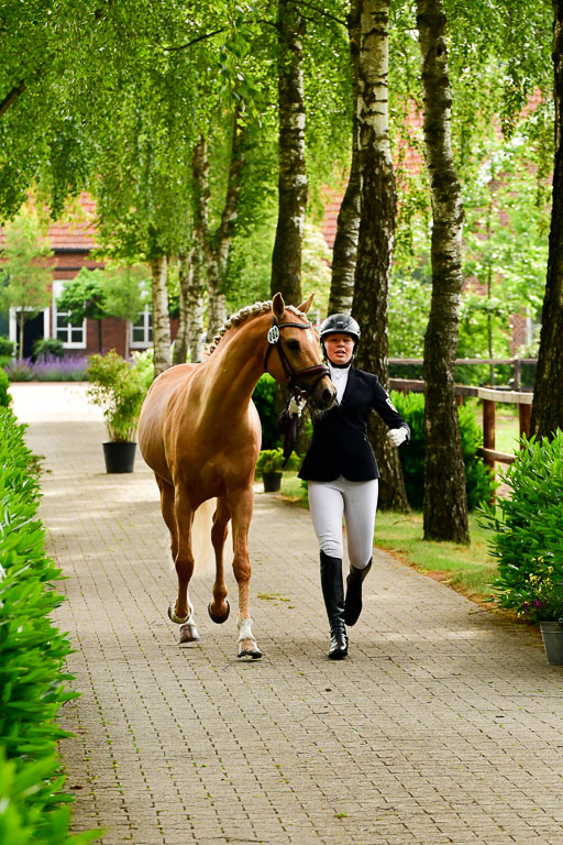 Goldene Schärpe Ponys in Löningen  4+5.6.22 | 05062022 Vormustern_378 