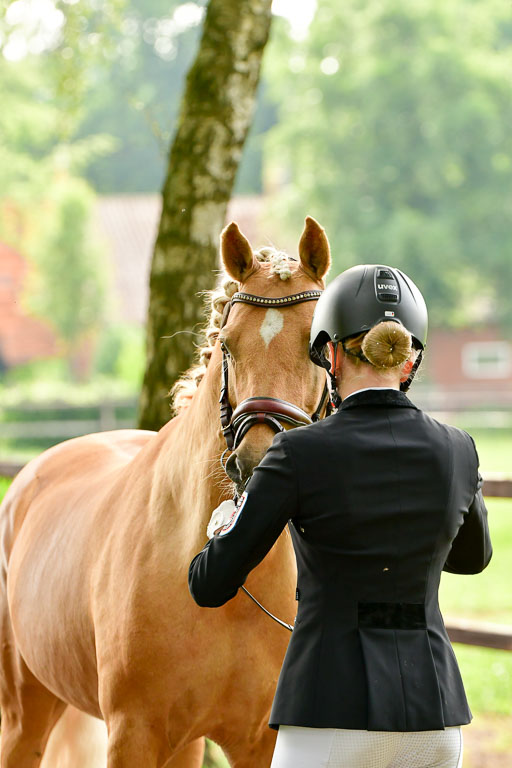 Goldene Schärpe Ponys in Löningen  4+5.6.22 | 05062022 Vormustern_379 