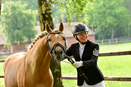 Goldene Schärpe Ponys in Löningen  4+5.6.22 | 05062022 Vormustern_380 
